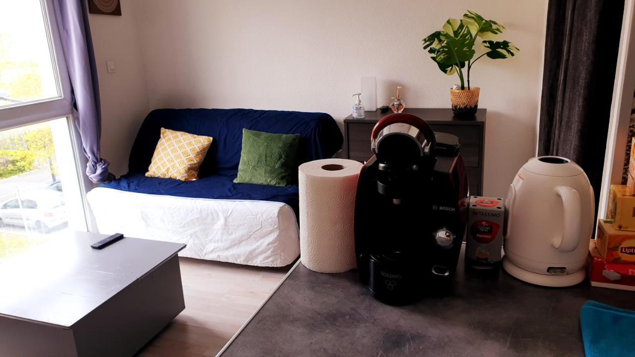 Apartament Studio Individuel - Le Musset & Parking Gratuit Devant L'Immeuble Grenoble Zewnętrze zdjęcie
